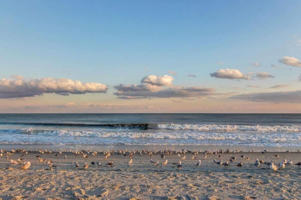 *Oceanfront Sun & Fun*Queen Beds*Pools*Hot Tubs*More*B118 미를 비치 외부 사진